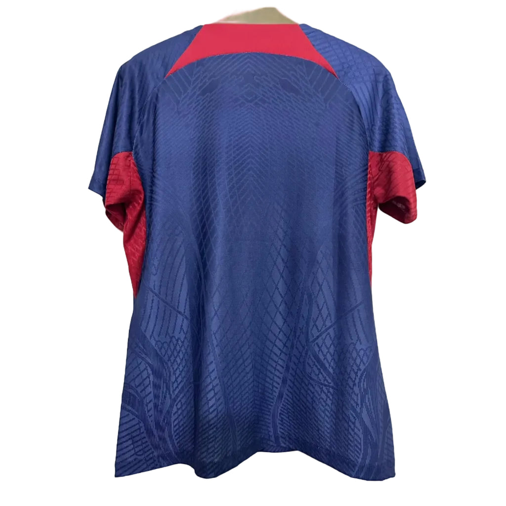 Maillot Match Paris Saint Germain 2023 2024 Pre Match bleu royal
