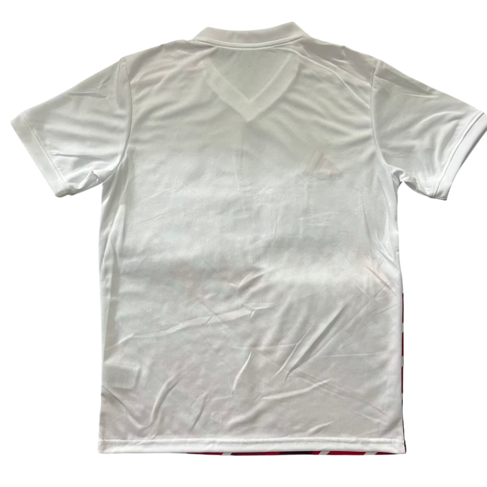 Maillot Benfica Domicile Concept